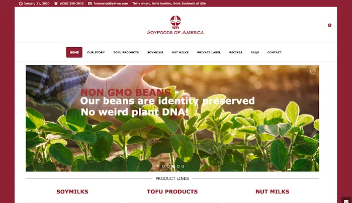 Web Design Pasadena 6