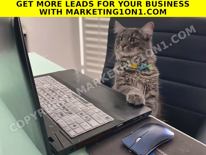 Digital Marketing 1on1 SEO 1