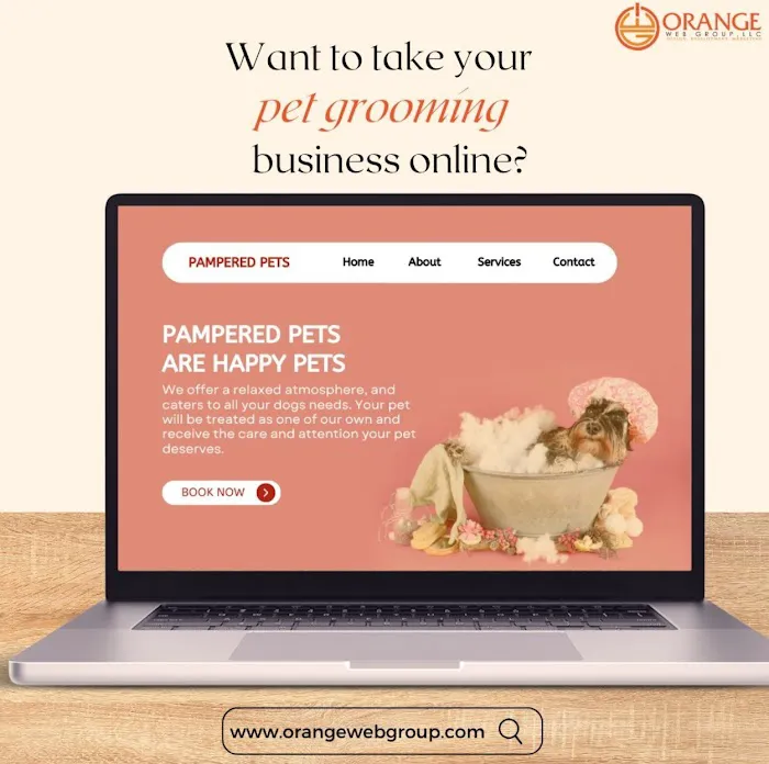 Orange Web Group, LLC 7