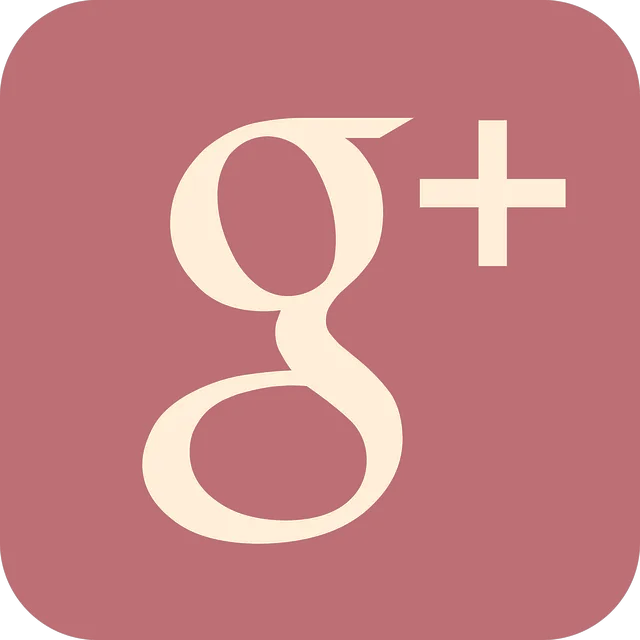 CW Meza Digital Marketing 6